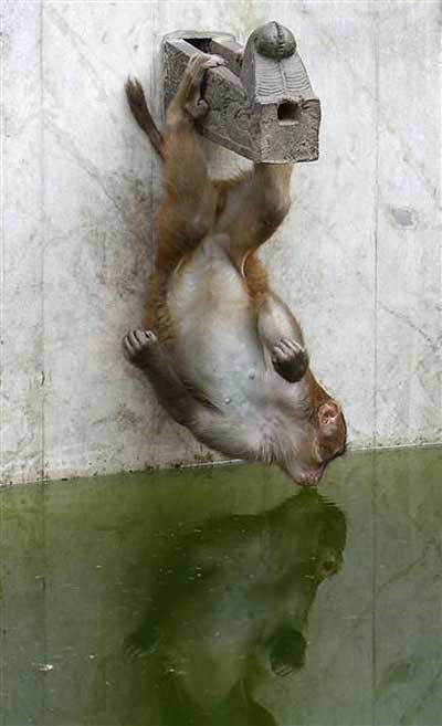 Drinking