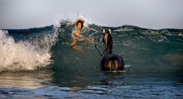 Horse vs. wave