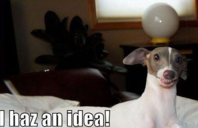 I haz an idea