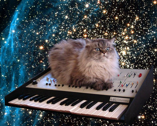 Synthetizer cat in space